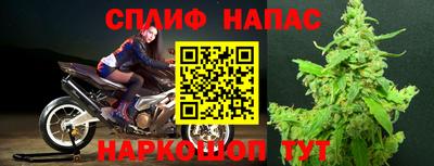 стафф Заводоуковск