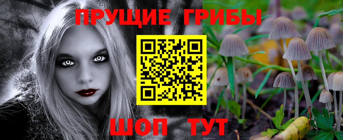 Глазов  Галлюциногенные грибы мицелий  Вход с VPN 