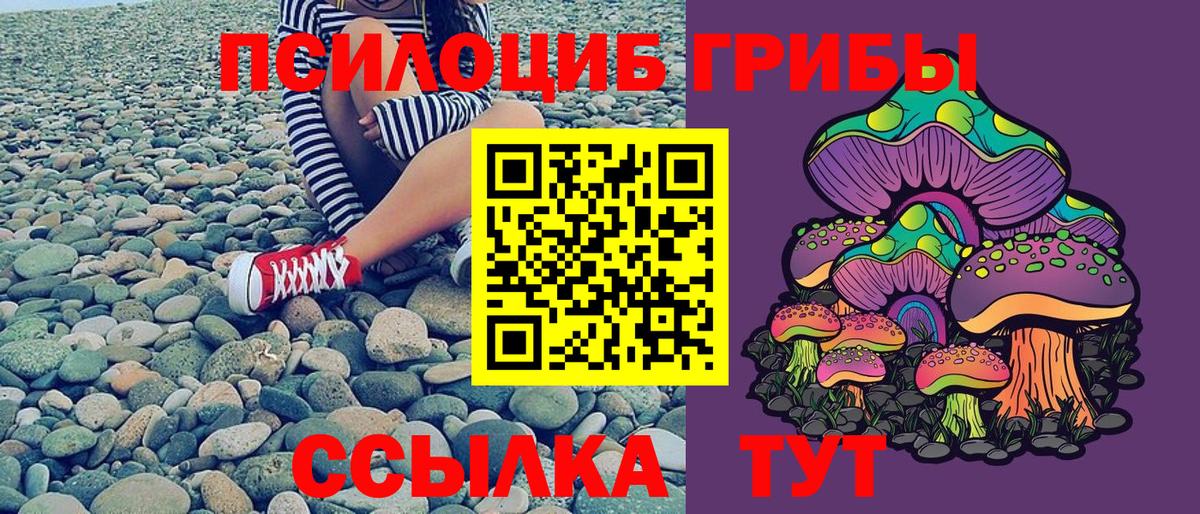 Галлюциногенные грибы мухоморы Глазов